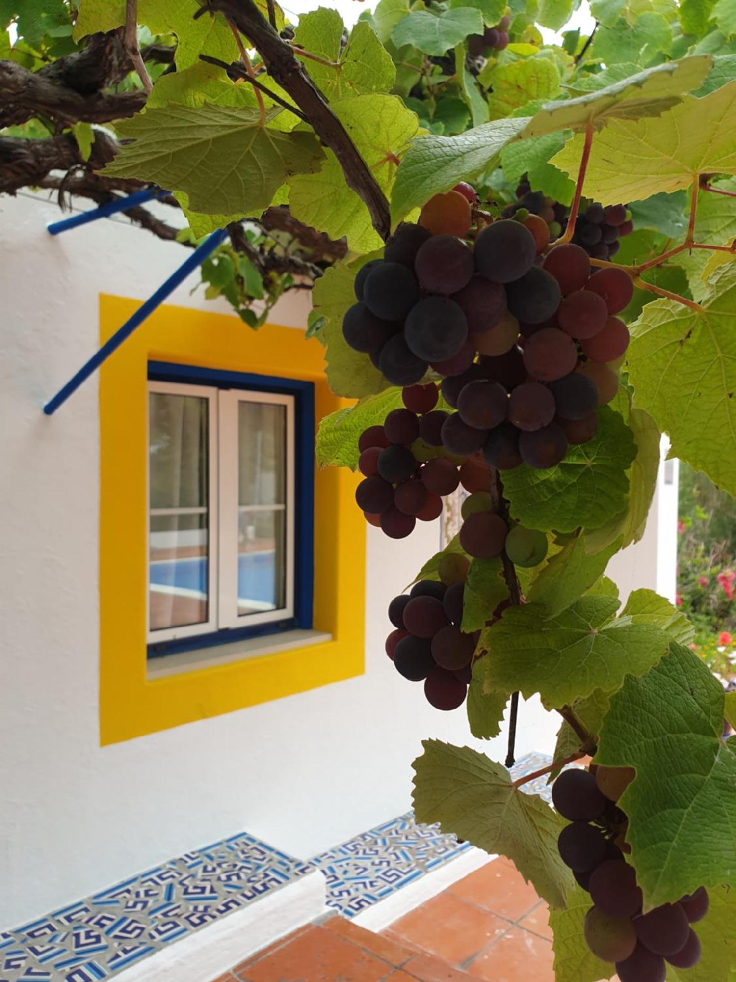 Sondela Self Catering Βίλα Sao Martinho do Porto Εξωτερικό φωτογραφία